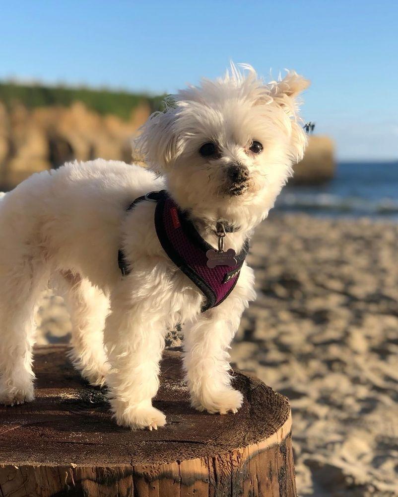 Act of Love - Image 1