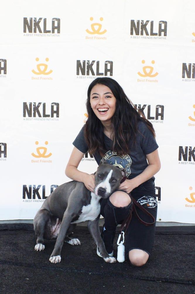 Angel City Pit Bulls - Image 1