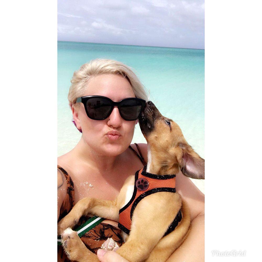 Potcake Place K9 Rescue - Image 1