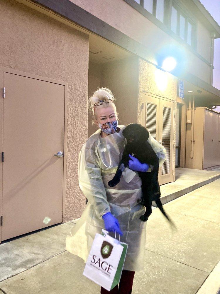 Ozzies Pound Puppies - Image 1