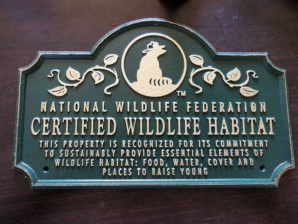 HerpaDerp Reptile Rescue - Image 1