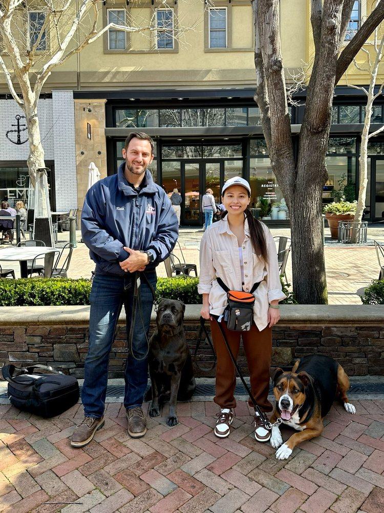 Lorenzo's Dog Training Team - Image 1