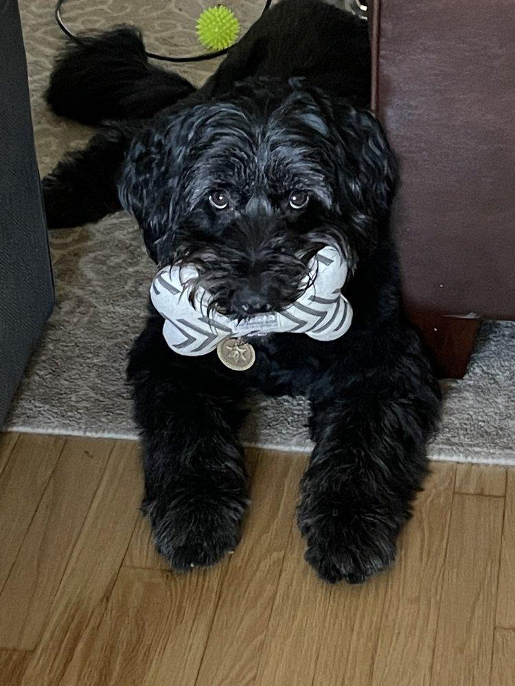 Dean G Watanabe, DVM - Image 1