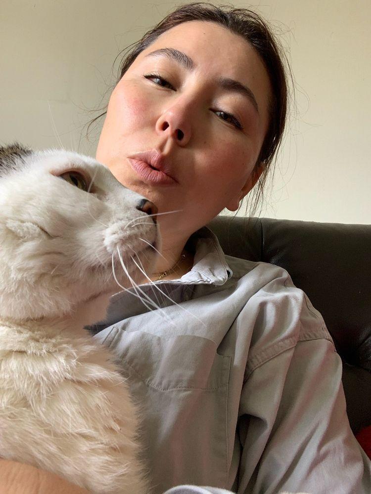 Tales of the Kitty - Image 1