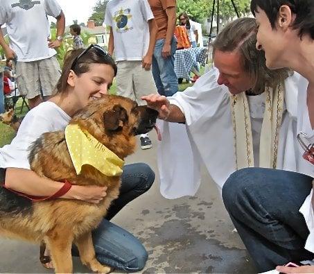 A Dog's Life Rescue - Image 1