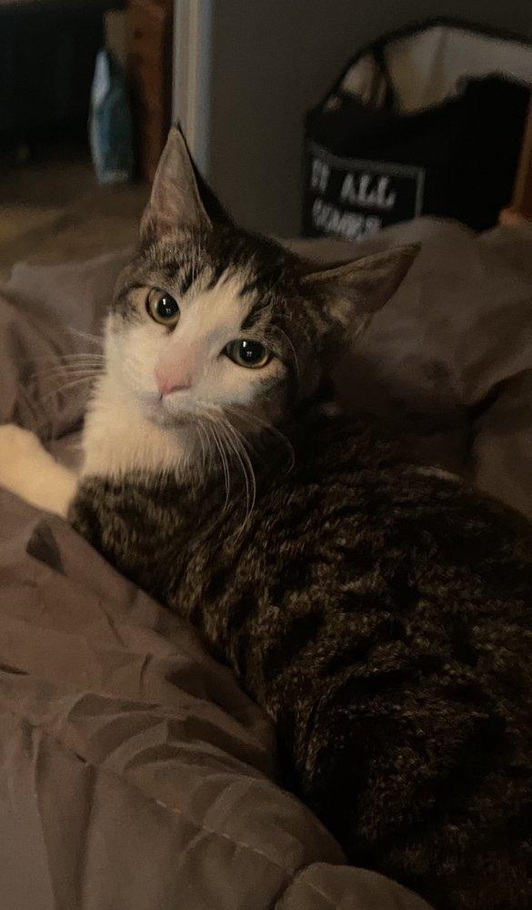 Second Chance Rescue - Image 1