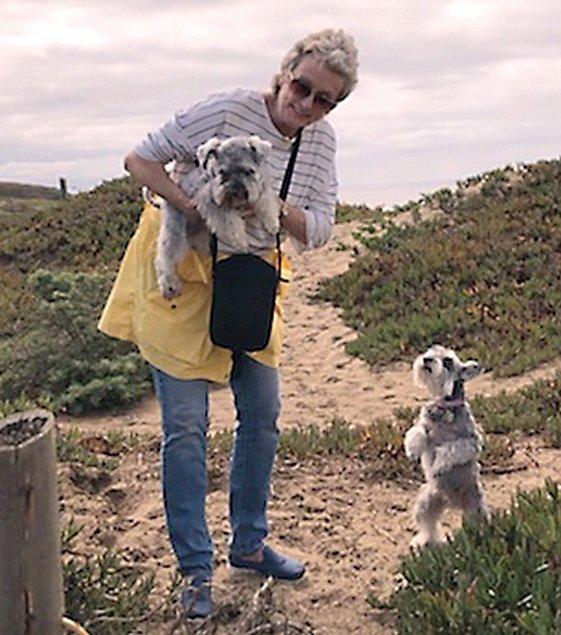 California Miniature Schnauzer Rescue - Image 1