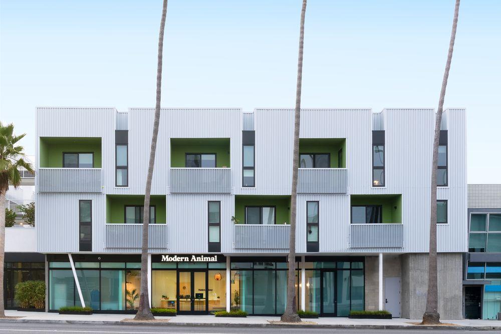 Modern Animal - Image 1