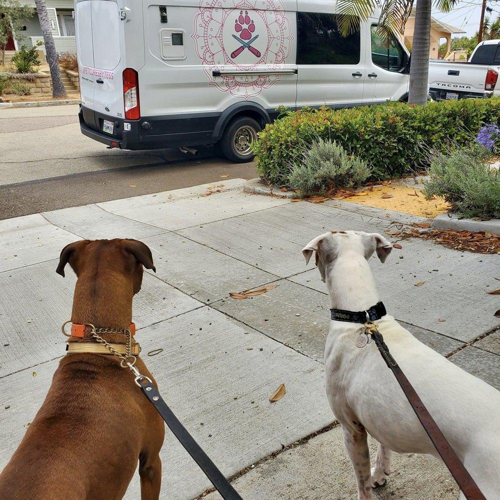 Peticures By Tess - Image 1