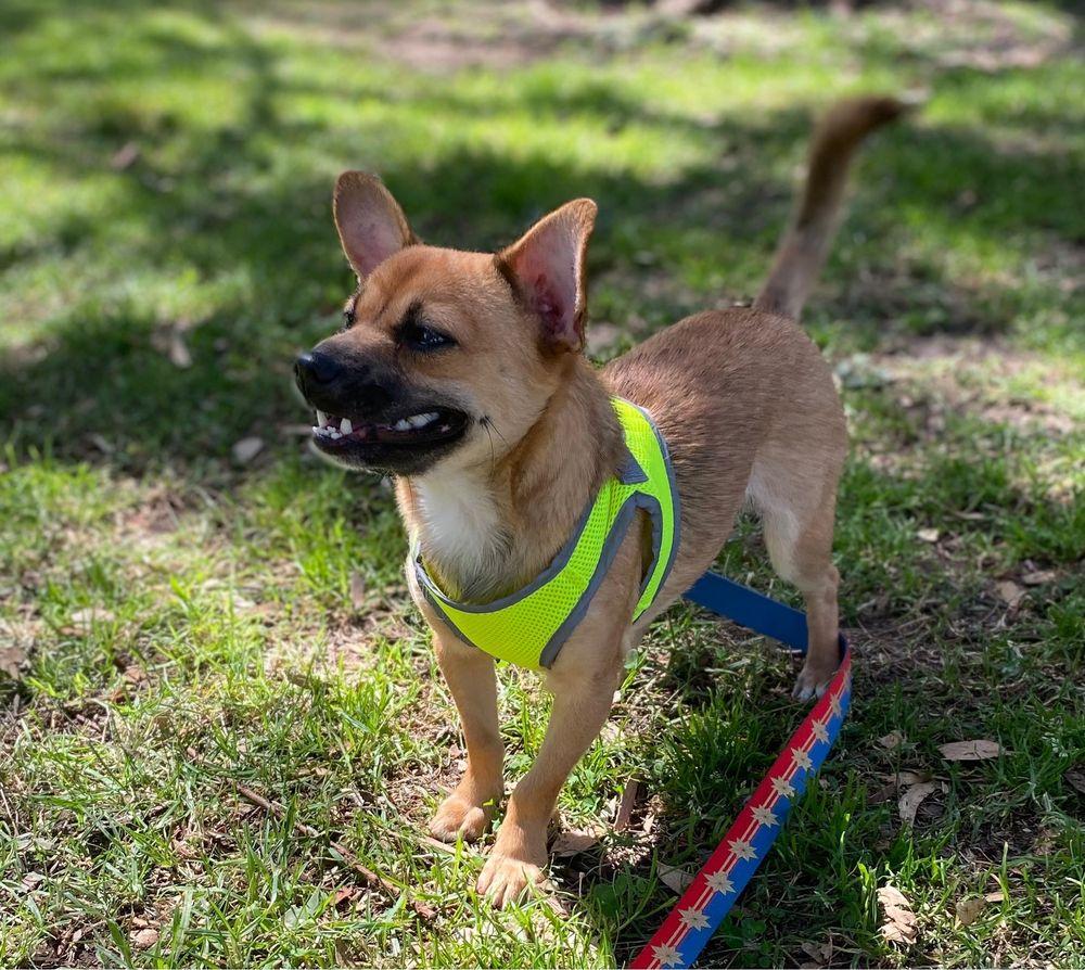 The Little Ones Animal Center - Image 1