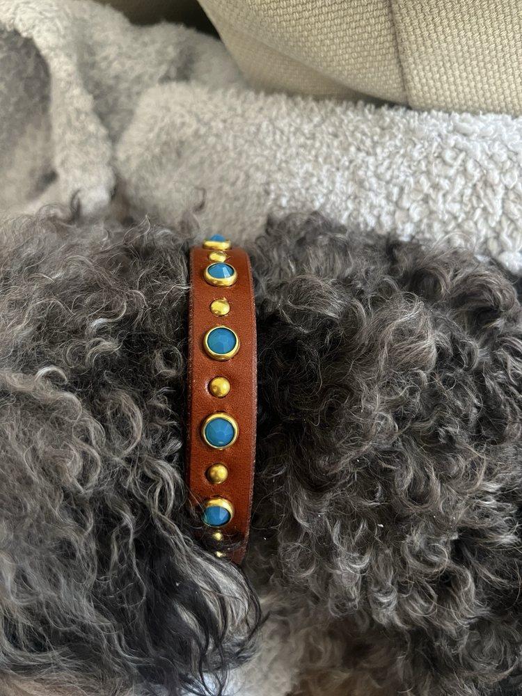 California Collar - Image 1