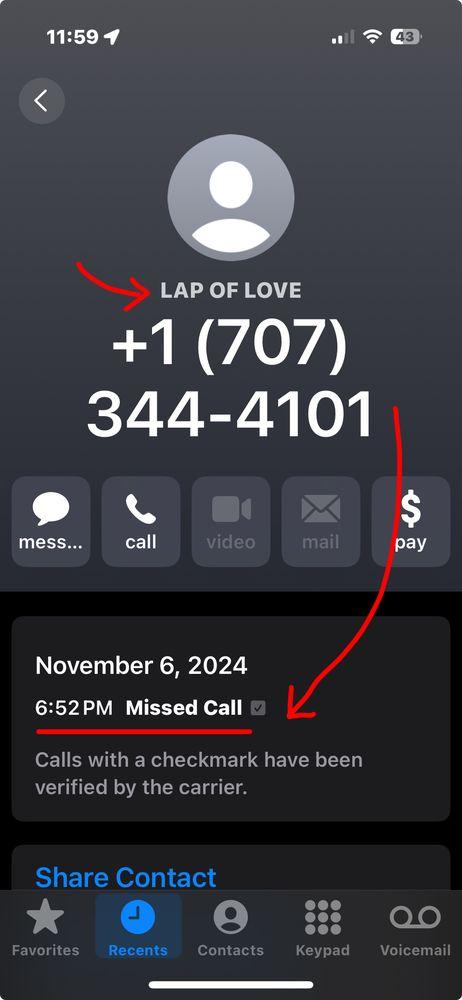 Lap of Love - Image 1