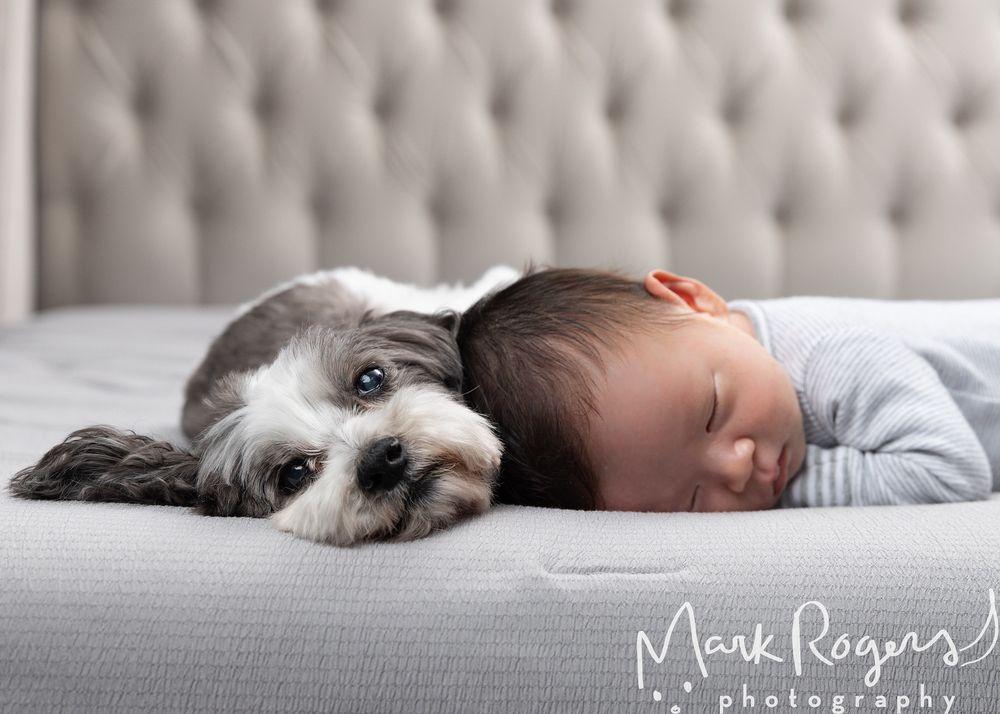 Mark Rogers Photography - Image 1