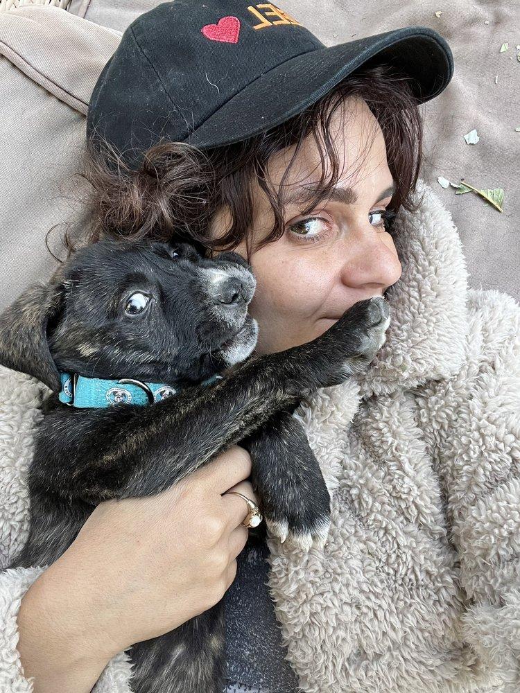 Love Leo Rescue - Image 1