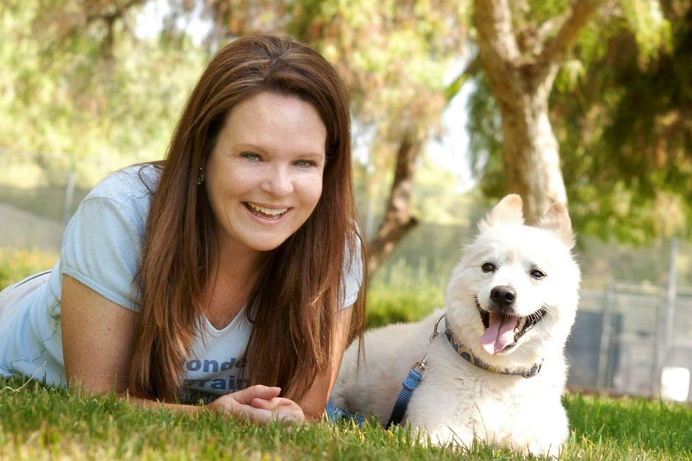 Wonder Dog Training - Image 1