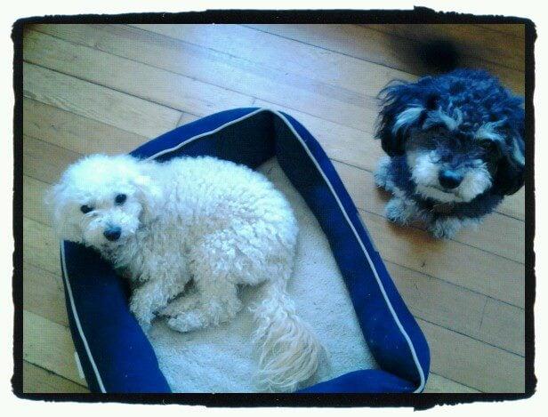 Home Away From Home - Image 1