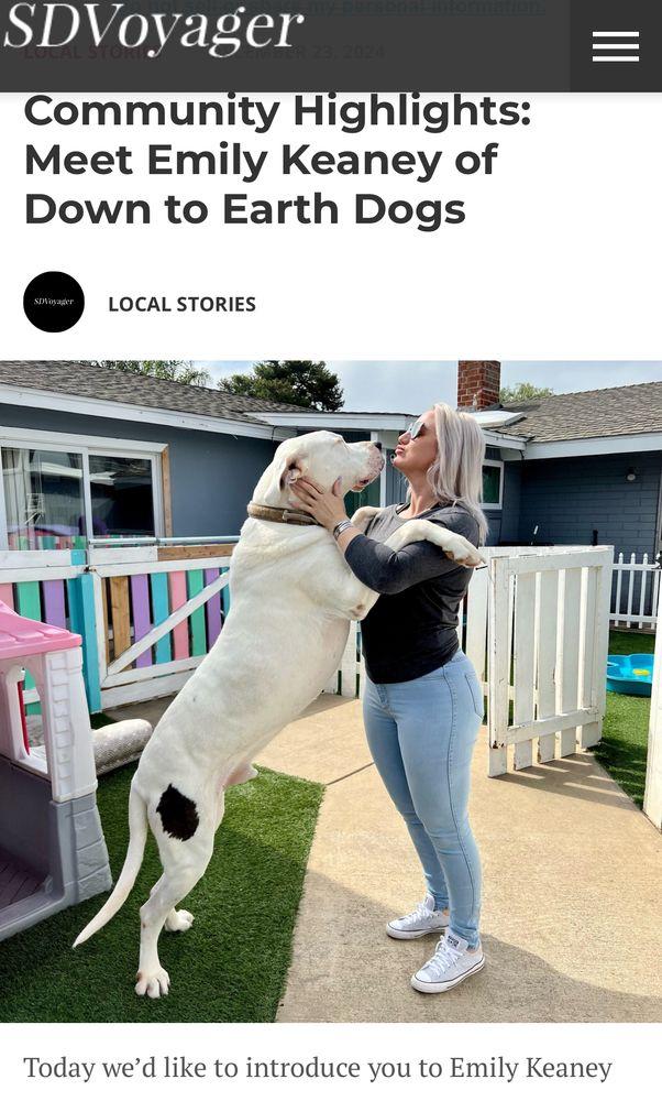 Down To Earth Dogs - Image 1