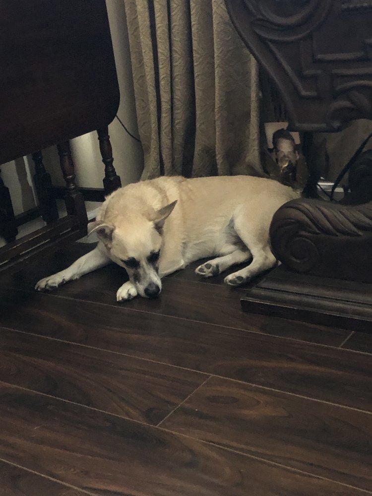 Little Buddies - Image 1