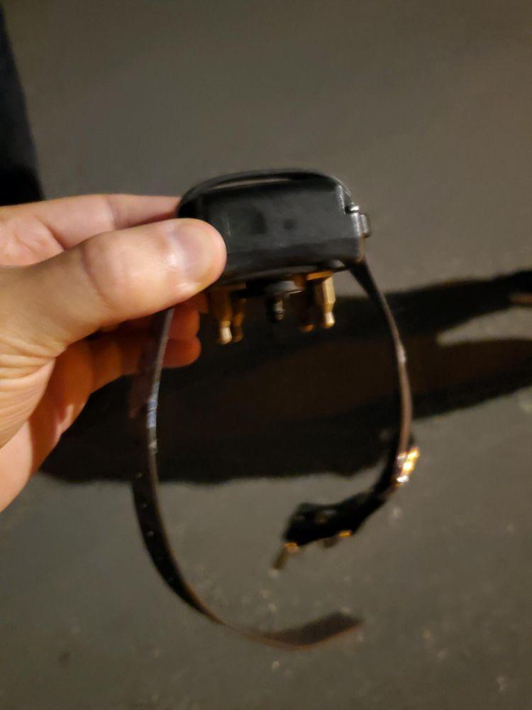 Awesome Pawsome Dog Walking - Image 1