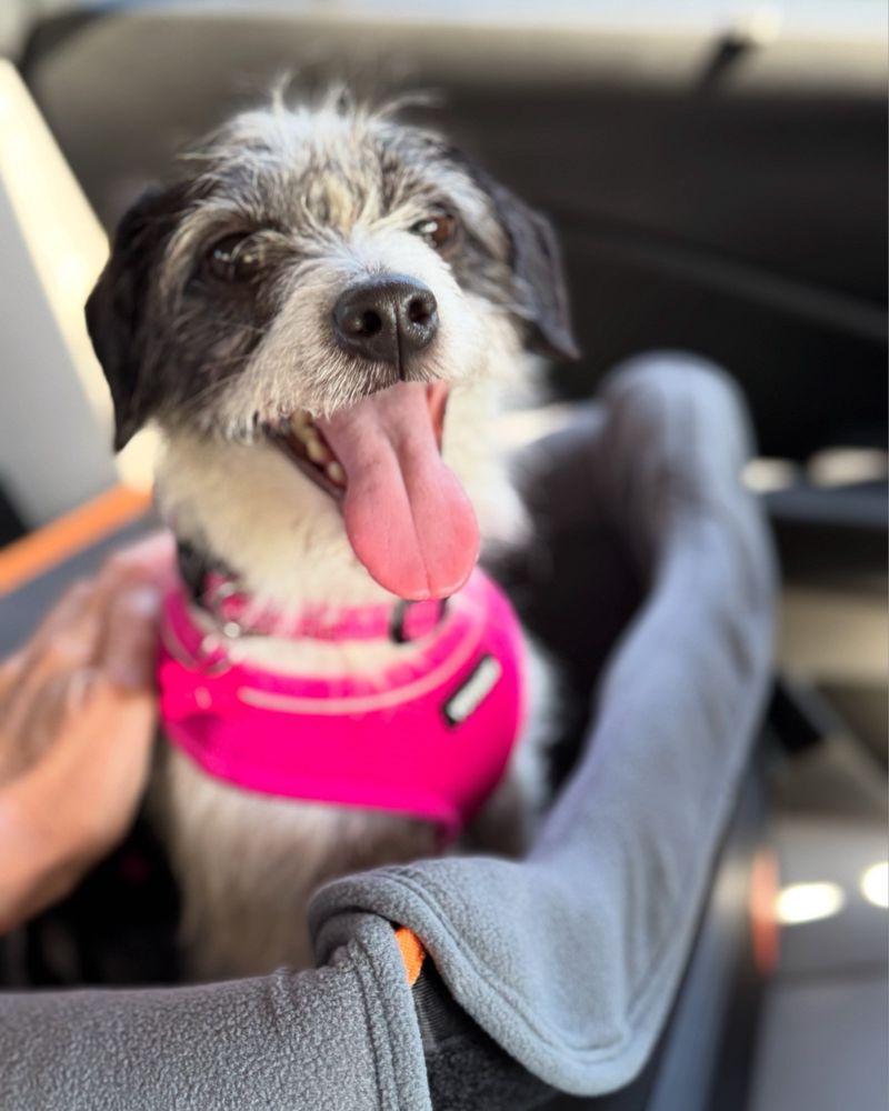 A New Life Charitable Foundation - Image 1