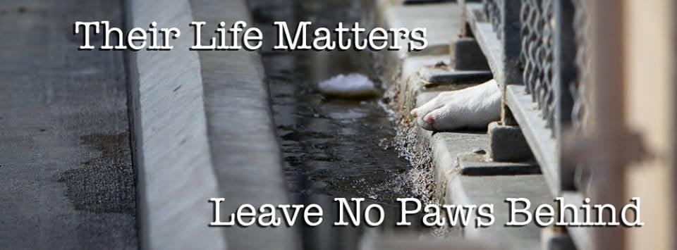 Leave No Paws Behind, Inc - Image 1