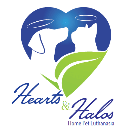 Hearts and Halos - Image 1