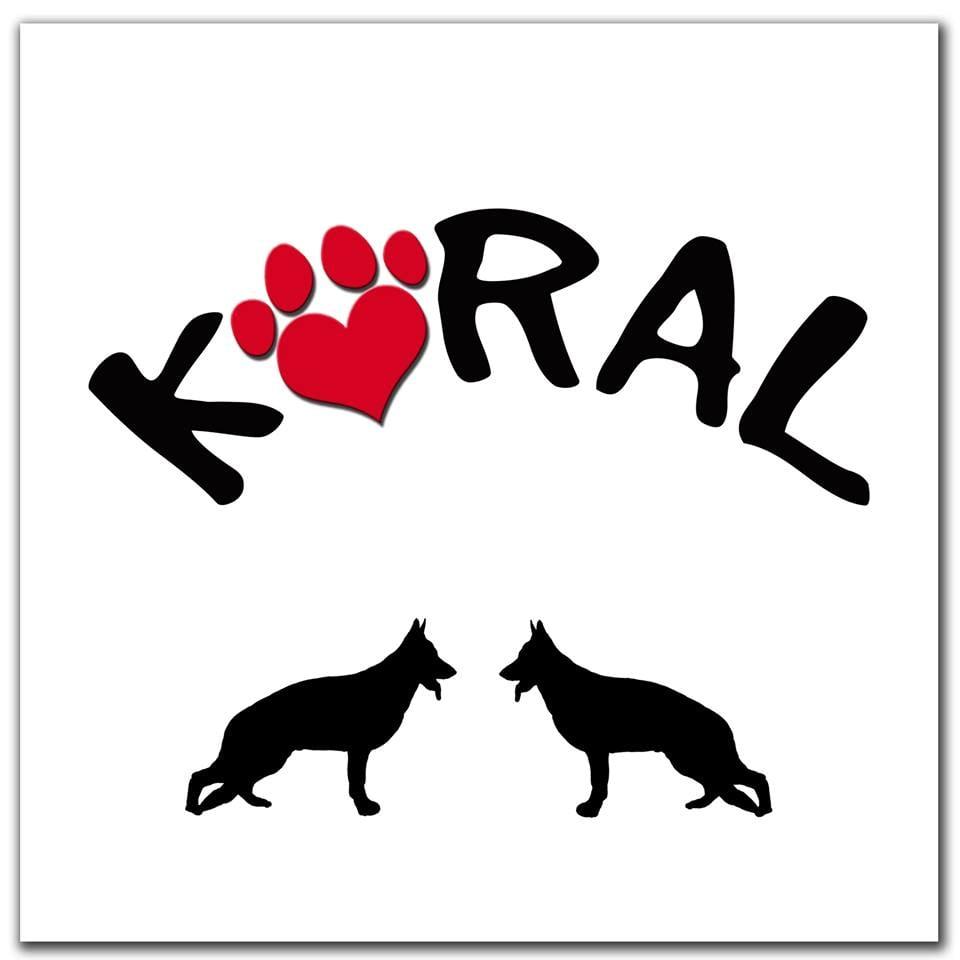 Koalition of Rescuers & Animal Lovers - Image 1