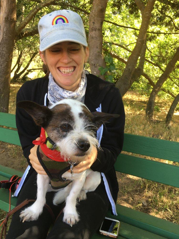 Miss Morgan's Doggie Walking - Image 1