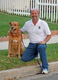 Sit Stay Come Dog Training - Image 1