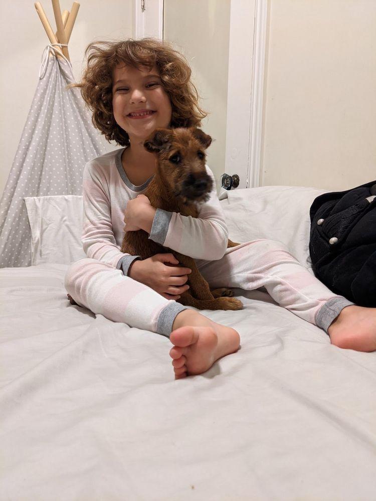 Doctor Cat's & Dogs Veterinary Housecalls - Image 1