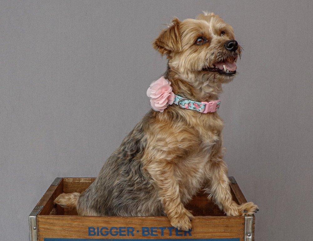 Soulful Photography - Image 1