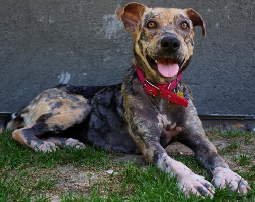 Bill Foundation - Image 1