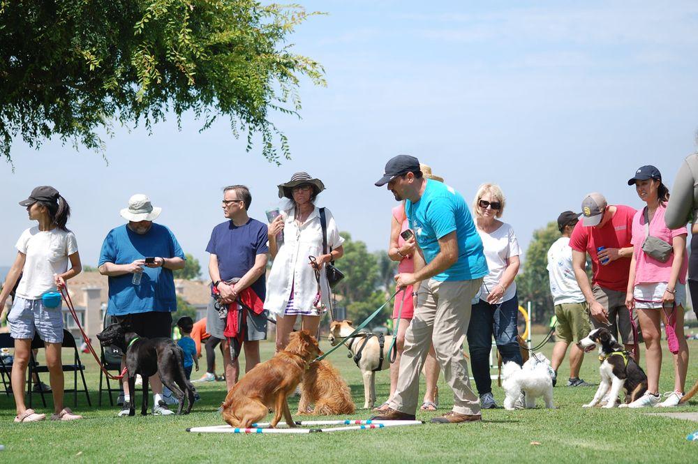 Blue Leash Dog Training - Image 1