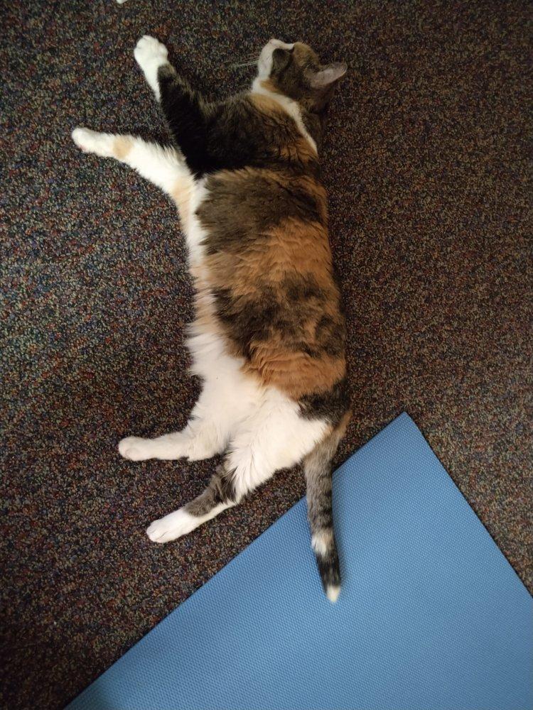 Kitty Devore Rescue - Image 1