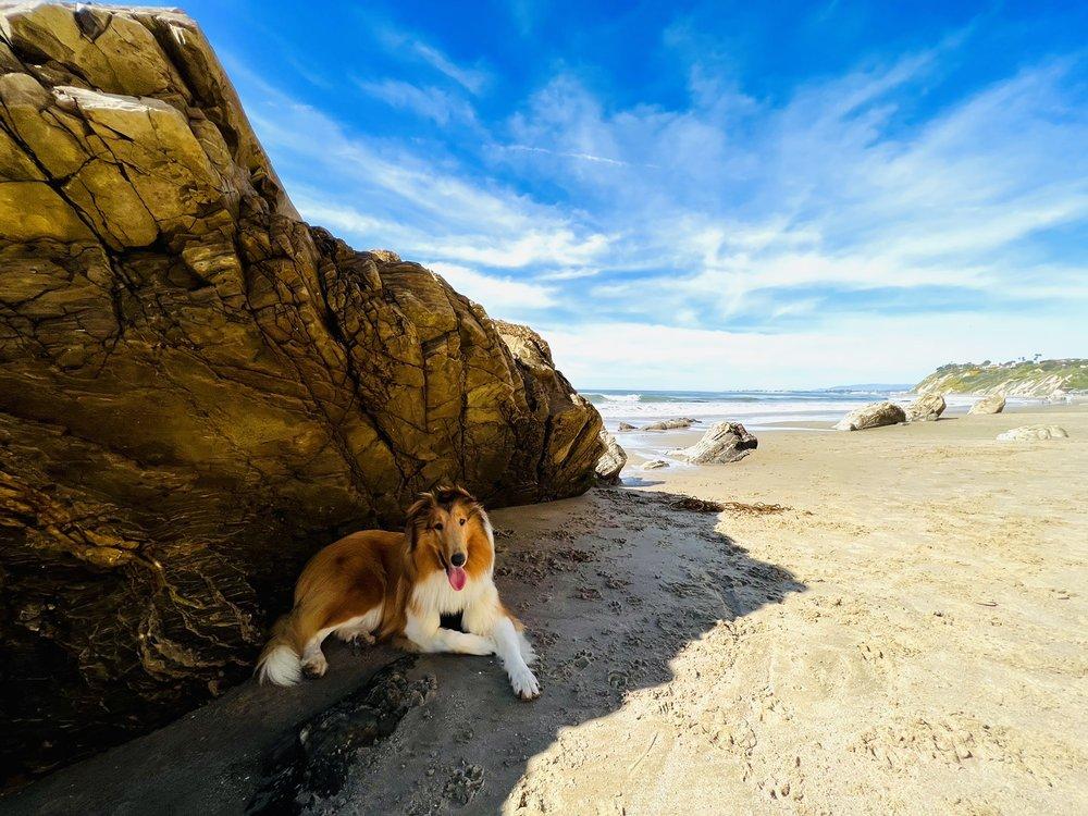 Sit's Getting Real - Image 1