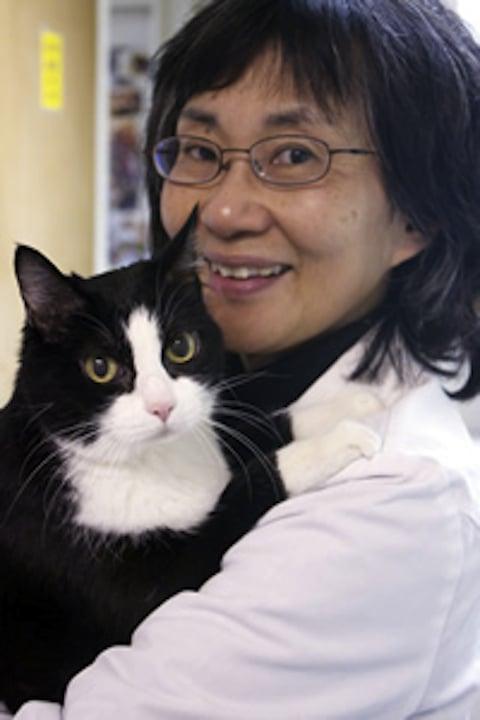 Susan Chew , DVM - Image 1