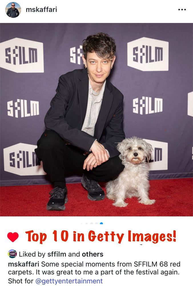 The Pooch Coach - Image 1