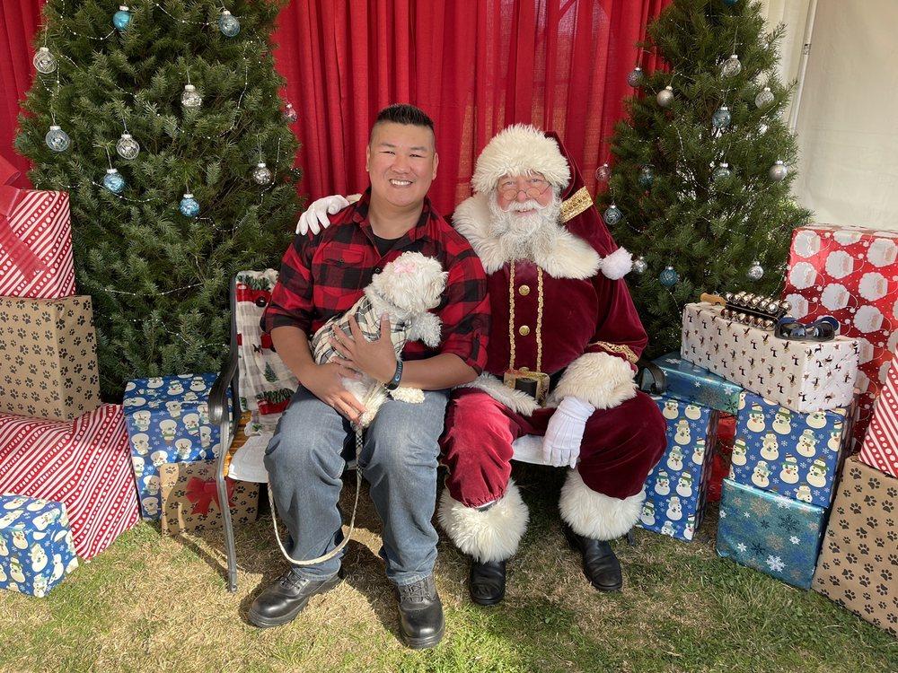 Traci's Paws - Image 1