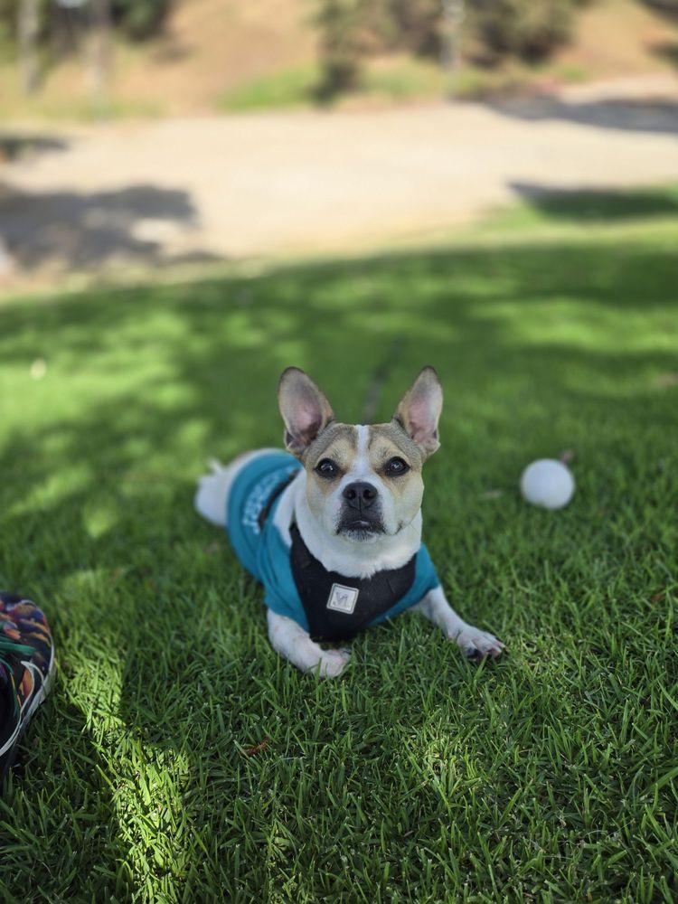 Humane Society of the United States - Image 1