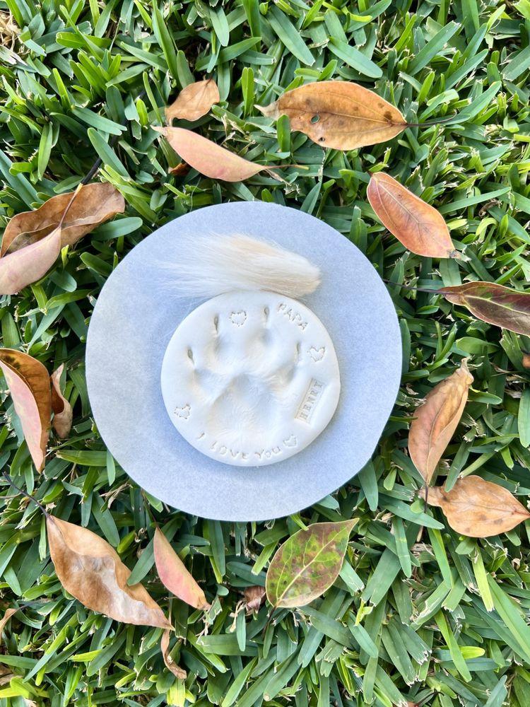 La Fin Veterinary - Image 1